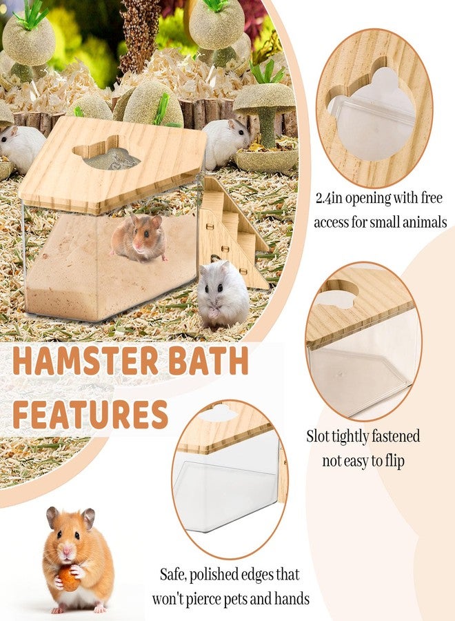 Quxddy Hamster Sand Bath Box Container, Hamster Bath Sand Gerbil Sand Bath Hamster Dust Bath, Hamster Litter Box Chinchilla Dust Bath Hamster Accessories(Pentagon+Ladder) (Pentagon+Ladder) - Image 3